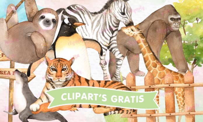 Cliparts, Animales, Safari, zoologico, watercolor