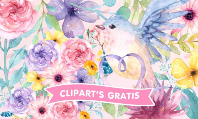 Cliparts, Floral, pajaritos, listones, watercolor